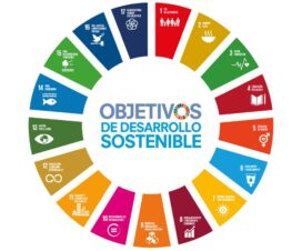 AGENDA 2030 y ODS